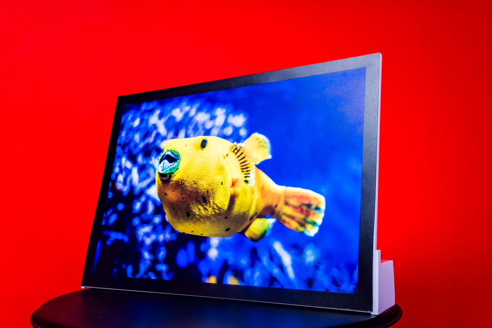 Lumiflex Lightbox Table Base